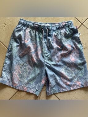 Vintage Summer Preppy Pineapple Print Swim Trunks in Light Blue and Pastel